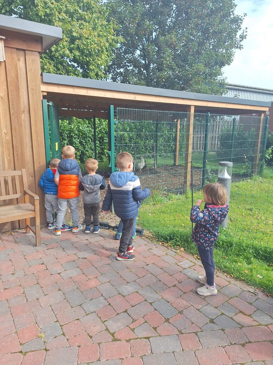 Eine Kleine Gruppe der Schlümpfe durfte den Pflegebutler in Hesel besuchen. Die Mitarbeiter und Bewohner hatten sich lustige Ballspiel vorbereitet.